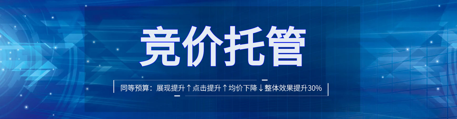 树林百度sem